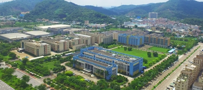 图片12