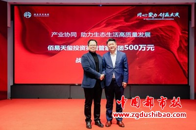 图片11