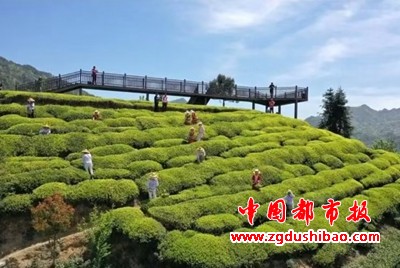 微信图片_20250121212940