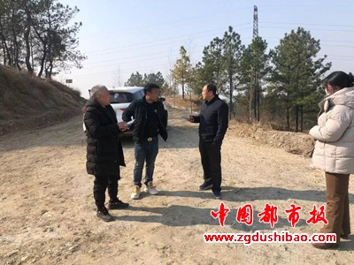 图片1