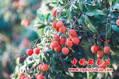 图片10