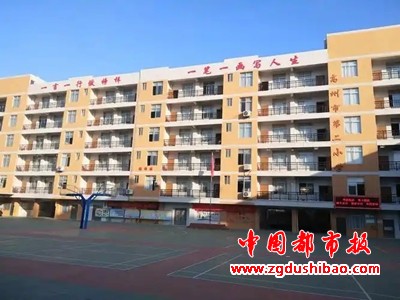 图片13