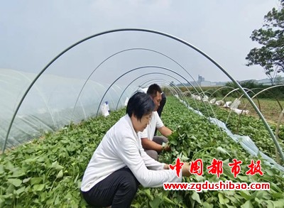 微信图片_20250124183547