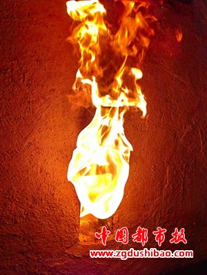 微信图片_20250128094525