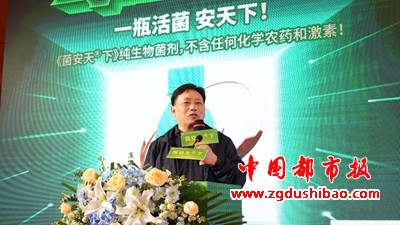 图片8