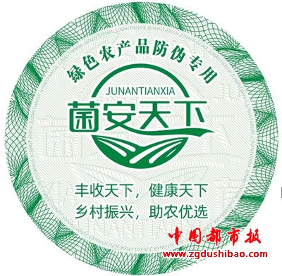 图片11