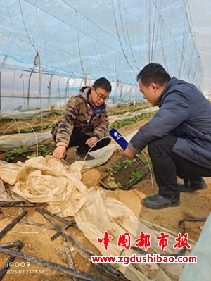 图片12_副本