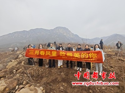 图片5
