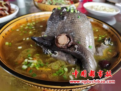 图片6