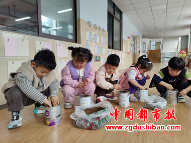 图片9