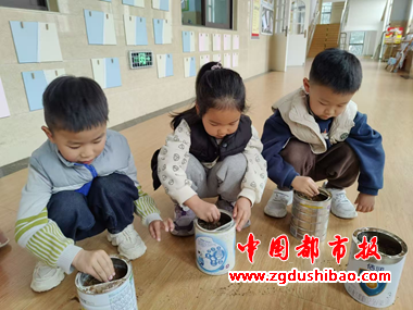 图片10