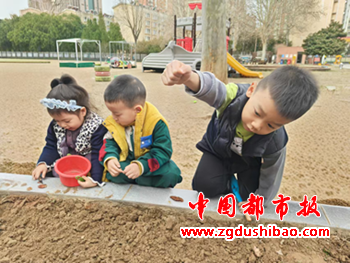 图片12