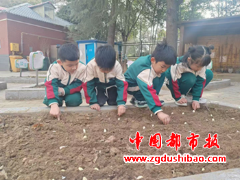 图片13