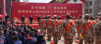 图片1