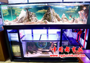 图片6