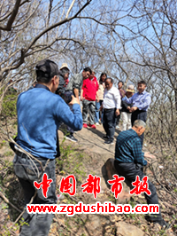 图片6