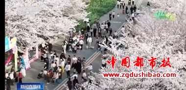 微信图片_20250327081831
