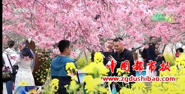 微信图片_20250327081824