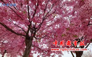 微信图片_20250328082706