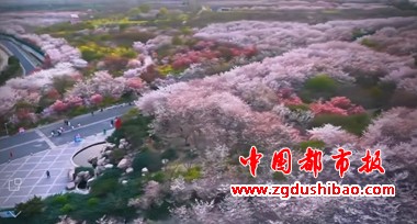 微信图片_20250328150216