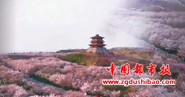 微信图片_20250328150220