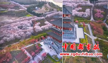 微信图片_20250328150224