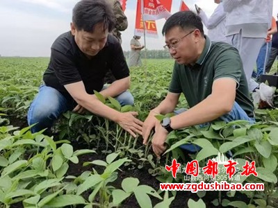 微信图片_20250421105939