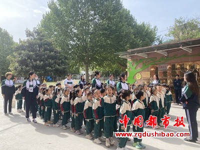 图片12
