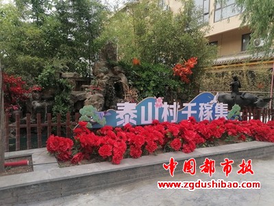 图片12