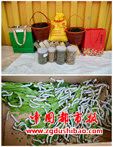 图片5
