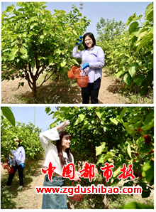 图片6
