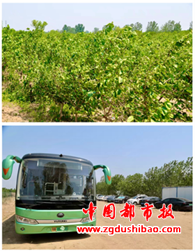 图片14