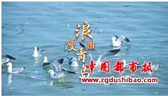 1-25051H11535305