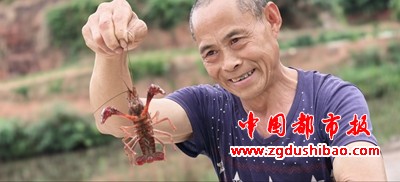 图片4