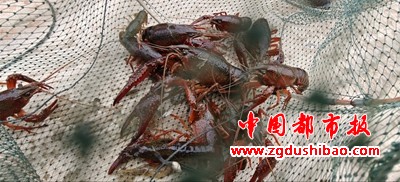 图片6
