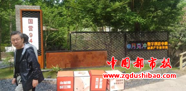 图片11