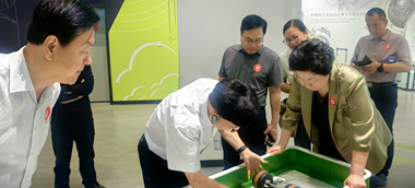 图片16
