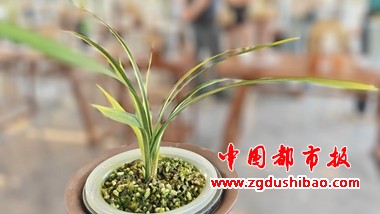 微信图片_20250530120725
