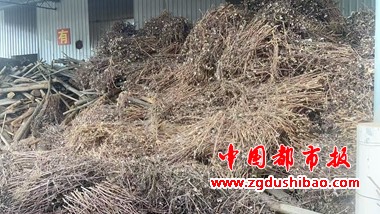 微信图片_20250530140826