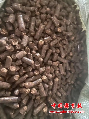 微信图片_20250530140836
