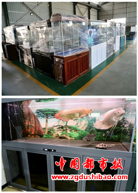 图片4