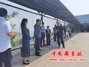 图片6