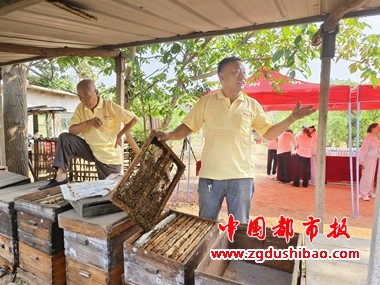微信图片_20250611204606