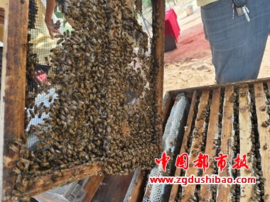 微信图片_20250611204528