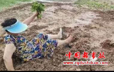 图片5