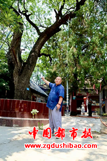 图片8