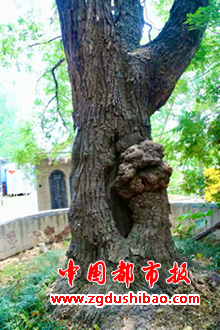 图片10