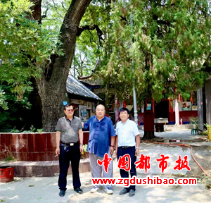 图片11