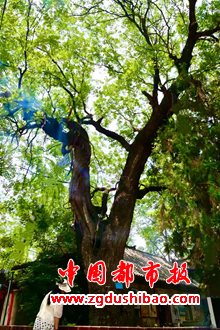 图片12