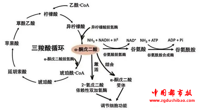 微信图片_20250615124552